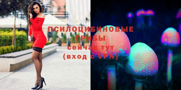 бошки Надым