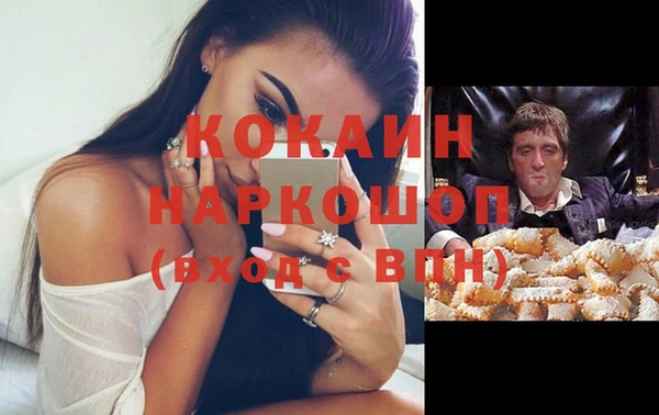 МДПВ Михайлов