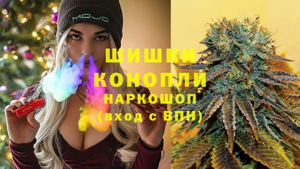 хмурый Михайловск