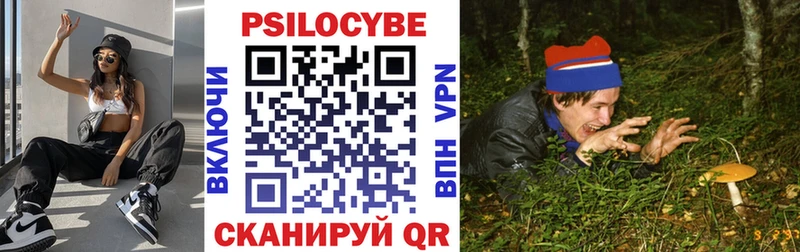 сайты даркнета телеграм Нижний Ломов Галлюциногенные грибы MAGIC MUSHROOMS купить